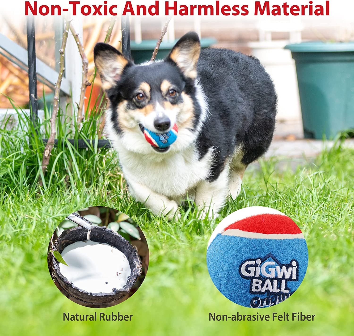Exciting 3-Pack Squeaky Tennis Balls for Dogs - High Bounce, Bright Colors, Perfect for Indoor & Outdoor Fun!