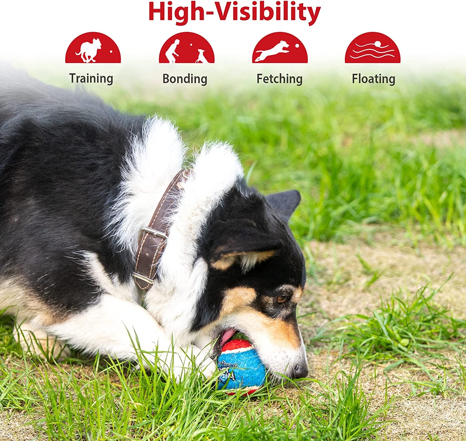 Exciting 3-Pack Squeaky Tennis Balls for Dogs - High Bounce, Bright Colors, Perfect for Indoor & Outdoor Fun!