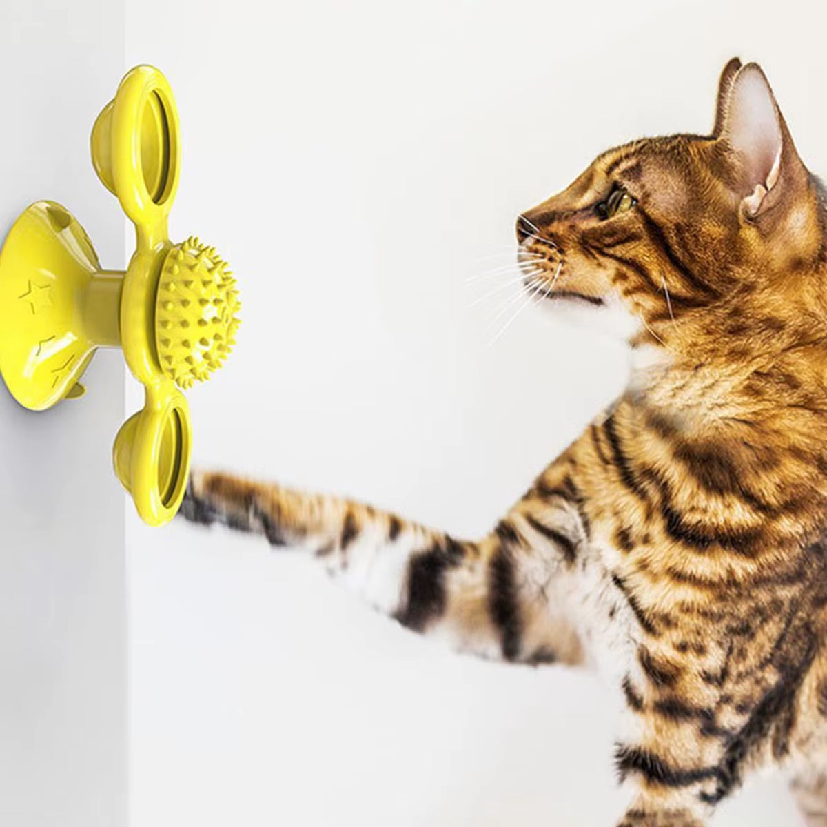 Engaging Multifunctional Cat Toy with Glowing Ball, Catnip and Suction Cup for Interactive Play and Teeth Massage