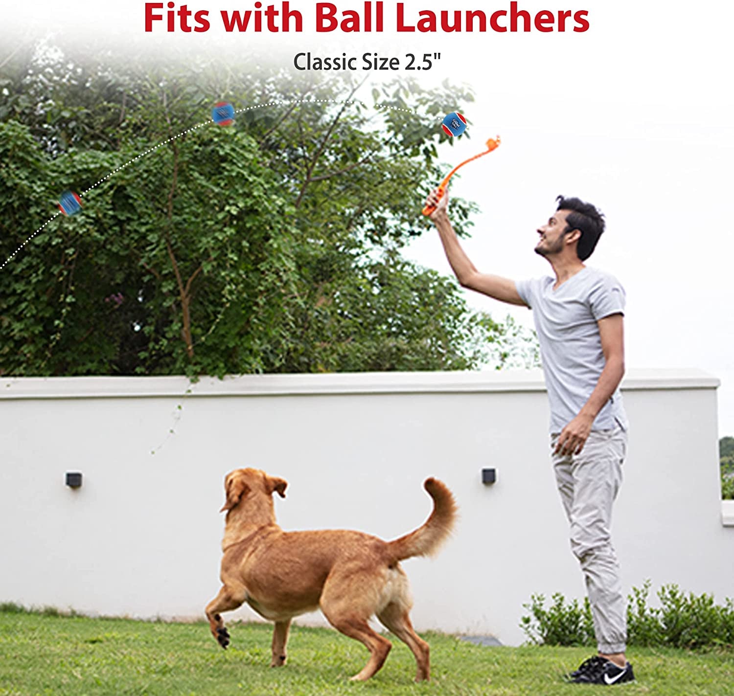 Exciting 3-Pack Squeaky Tennis Balls for Dogs - High Bounce, Bright Colors, Perfect for Indoor & Outdoor Fun!