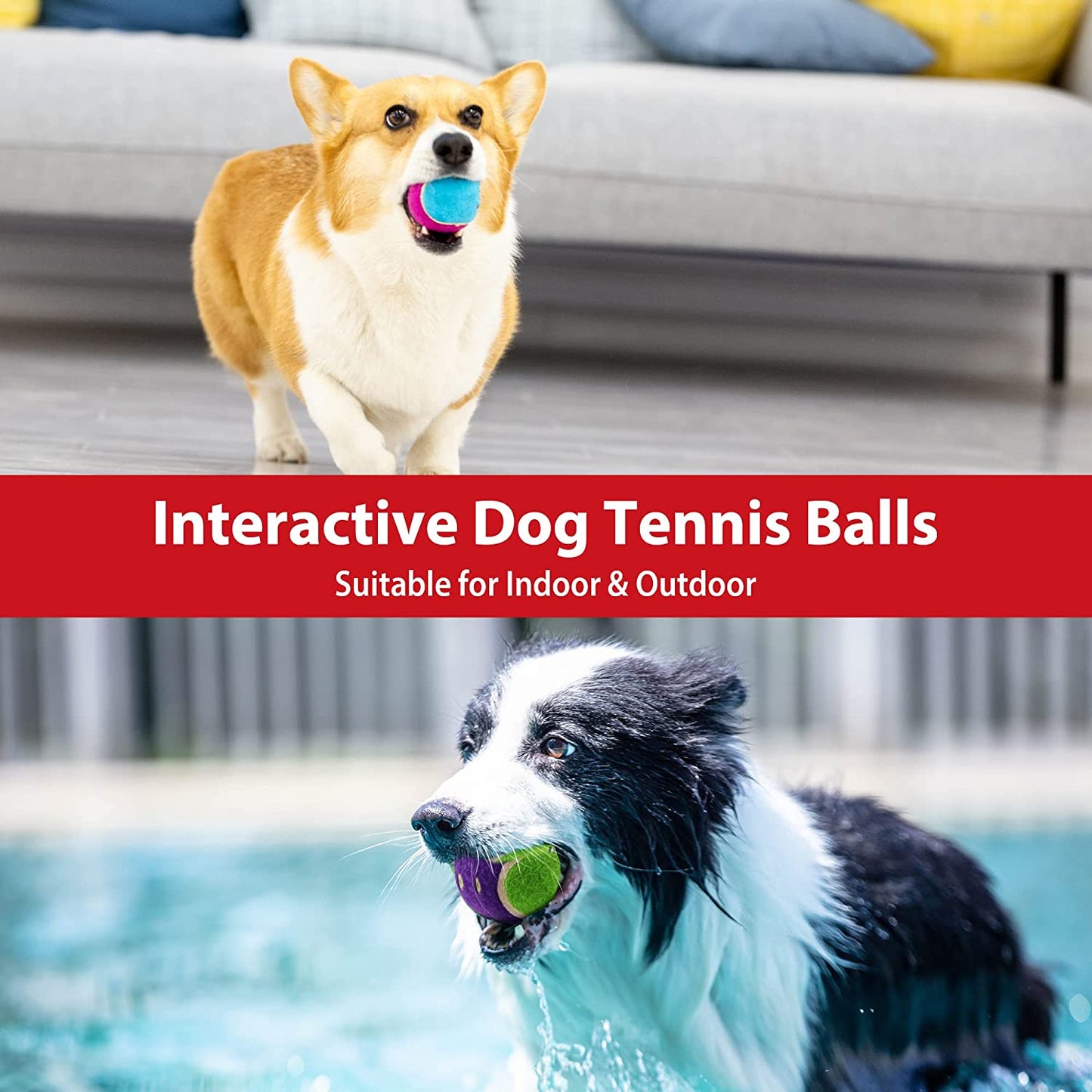 Exciting 3-Pack Squeaky Tennis Balls for Dogs - High Bounce, Bright Colors, Perfect for Indoor & Outdoor Fun!